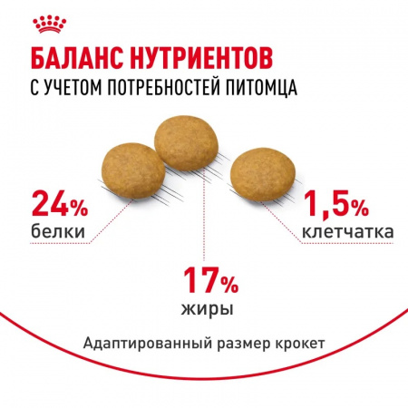 Сухой корм ROYAL CANIN Medium Dermacomfort для взрослых собак средних размеров при раздражениях и зуде кожи, 10кг