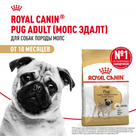 Сухой корм ROYAL CANIN Pug Adult, для взрослых собак породы Мопс от 10 месяцев, 1.5кг