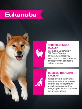 Сухой корм EUKANUBA для взрослых собак мелких и средних пород, с ягненком, 800г