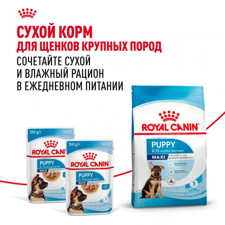 Влажный корм ROYAL CANIN Maxi Puppy для щенков крупных пород до 15 месяцев, кусочки в соусе, 100г