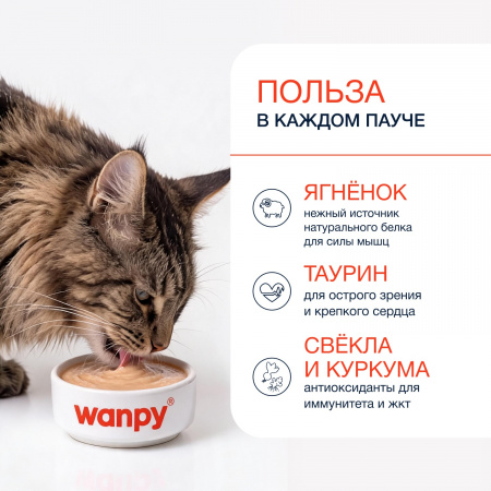 Лакомство Wanpy Cat для взрослых кошек, нежное пюре из ягненка со свеклой и куркумой, 70г