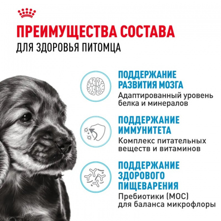Сухой корм Royal Canin Mini Puppy для щенков мелких пород, 4кг