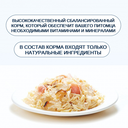 Влажный корм Wanpy Cat для взрослых кошек, курица с лососем, 95г