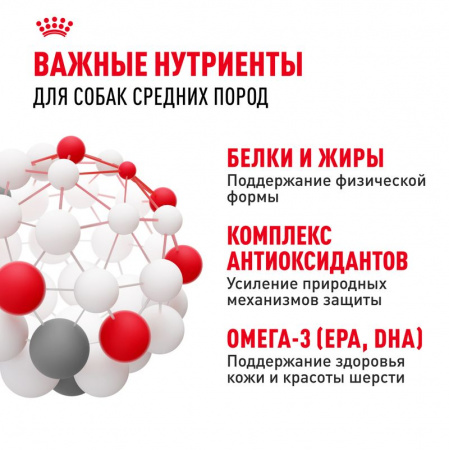 Сухой корм ROYAL CANIN Medium Adult для взрослых собак средних размеров (весом от 11 до 25 кг) в возрасте от 12 месяцев до 7 лет 15кг