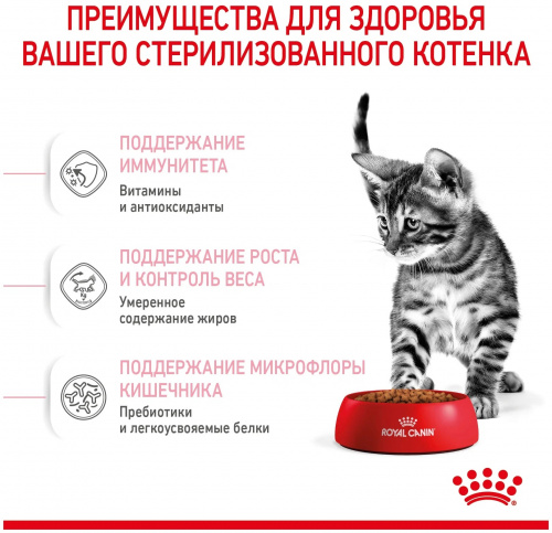 2 (4)-min22