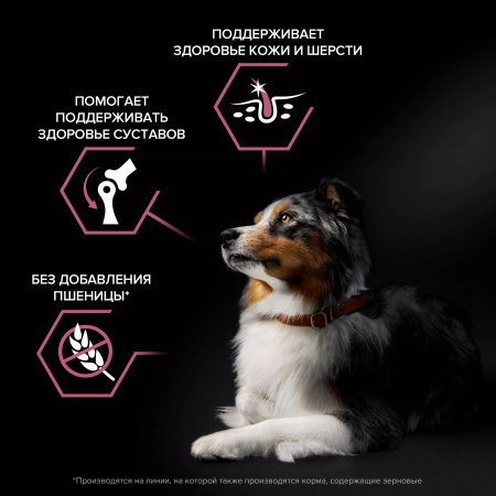 Сухой корм Purina PRO PLAN Sensitive Skin для взрослых собак средних пород, с чувствительной кожей, с лососем, 7 кг