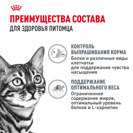 Влажный корм ROYAL CANIN Appetite Control Care для взрослых кошек, для контроля выпрашивания корма, мелкие кусочки в соусе, 85г