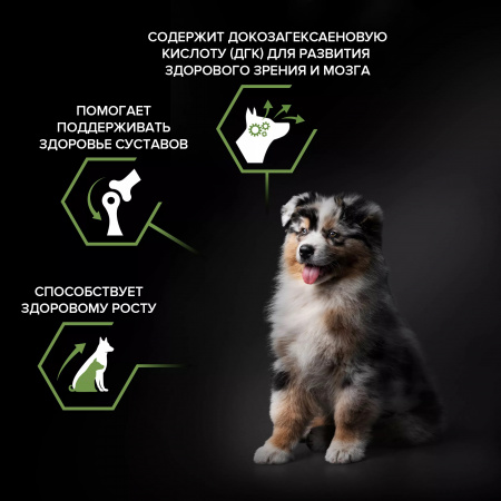 Сухой корм Purina PRO PLAN Healthy Start для щенков средних пород, c курицей, 12 кг