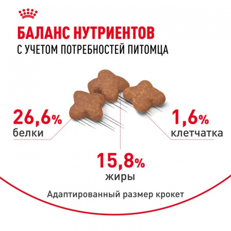 Сухой корм ROYAL CANIN Mini Adult 8+ для стареющих собак мелких пород (весом от 1 до 10 кг) в возрасте от 8 лет, 4кг