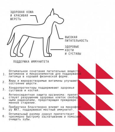 Сухой корм AJO Dog BASIC LINE MAXI ADULT для взрослых собак крупных пород, индейка оленина гречка 2кг
