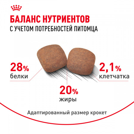 Сухой корм ROYAL CANIN GIANT ADULT для взрослых собак крупных пород, 15кг