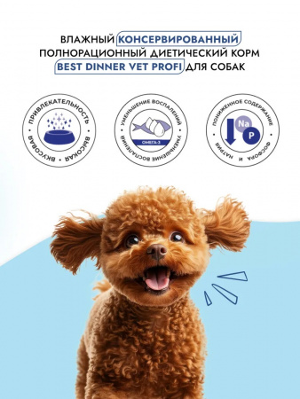 Влажный корм Best Dinner Vet Profi Renal для взрослых собак при заболеваниях почек, с индейкой, 100г