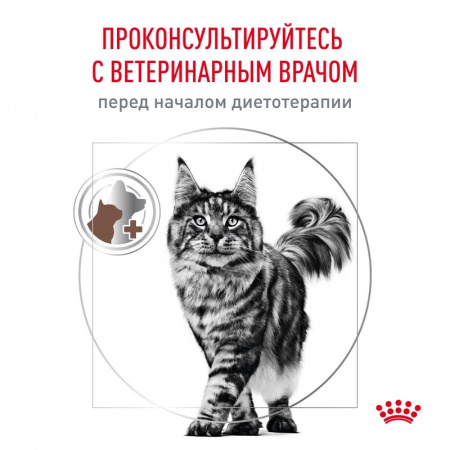 Влажный корм ROYAL CANIN Gastrointestinal для взрослых кошек при расстройствах пищеварения 85г